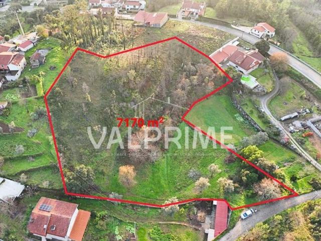 Refúgio Natural com 7170m² e Excelentes Acessos em Aguiar de Sousa – Oportunidade de Investimento