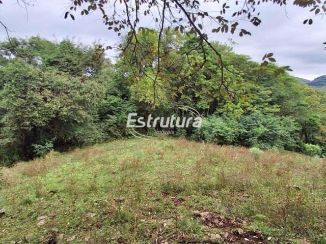 Refúgio Natural: Chácara com Árvores Frutíferas e Riacho em São Martinho da Serr