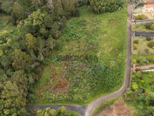 ’Refúgio Natural ao Lado do Golfe Terreno Plano com 6.730 m² no Santo da Serra’