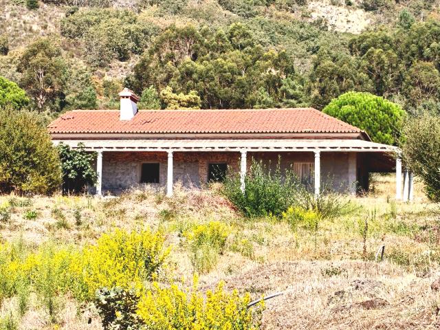 Refúgio no Campo: Moradia Tradicional para Recuperação Total com Vistas Desafogadas