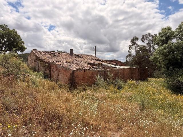 Terreno com casa em ruínas, água e pomar, perto de Odemira, Baixo Alentejo