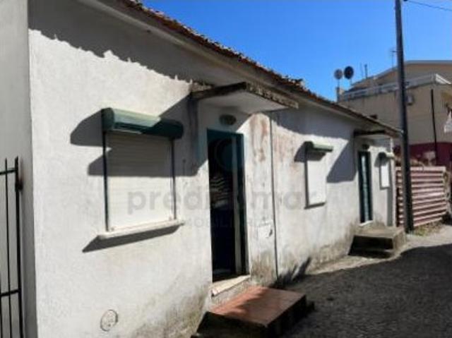 Refúgio no Douro: Casa Rústica em Armamar com Vistas Únicas