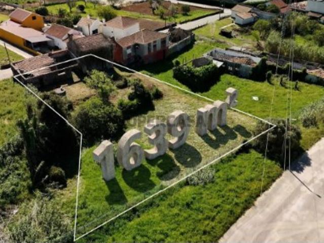 Refúgio Exclusivo com Projeto Aprovado para Duas Moradias | Luz, Privacidade e Elegância