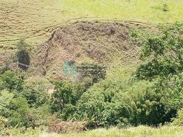 Refúgio em Meio à Natureza Em Santo Antônio do Pinhal