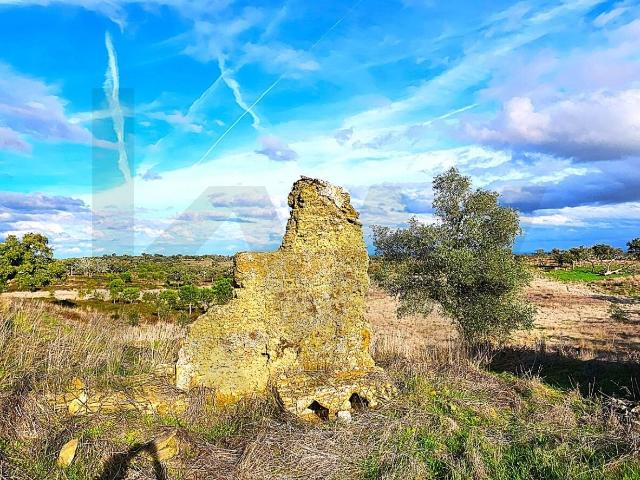 Refúgio em Grândola: 4,5 Hectares com Viabilidade, Nascente e Proximidade a Melides