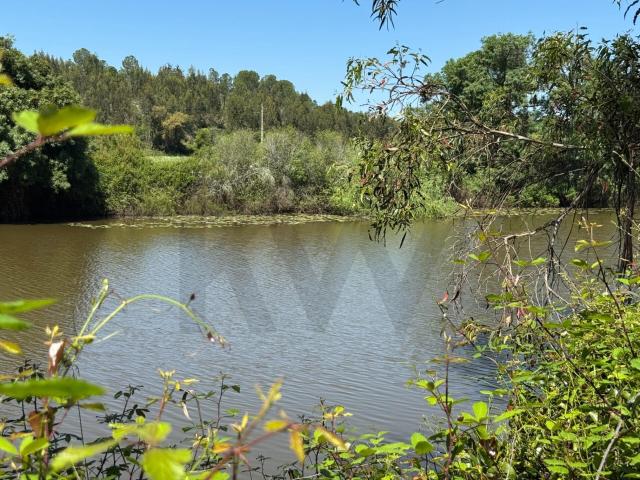 Refúgio Ideal no Alentejo: Investimento único com Potencial Agrícola e Turístico com 94 Ha