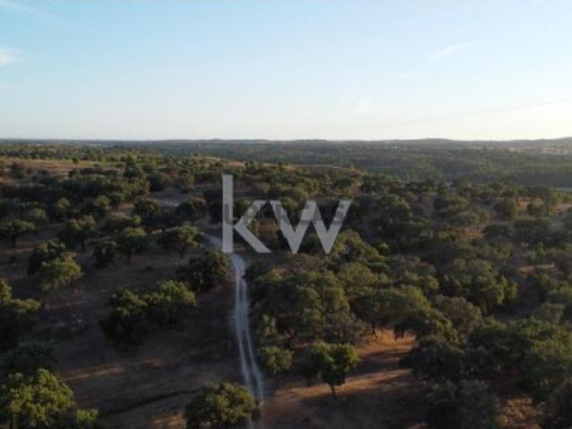 Refúgio Ideal no Alentejo: Investimento único com Potencial Agrícola e Turístico com 134Ha