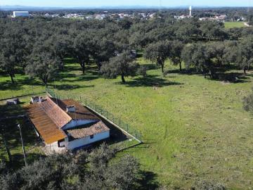 Refúgio Rural em Foros do Locário – 12,55 ha com Habitação e Potencial Único