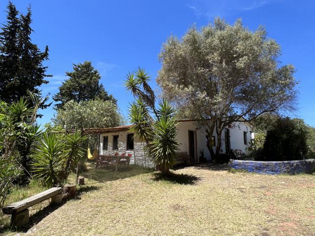 Refúgio Rural Rústico junto à Ria Formosa Algarv