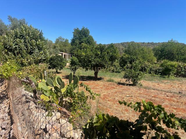 Refúgio Rural 2 em 1 na Barrada, Paderne – Um Lugar Especial em Harmonia com a Natureza