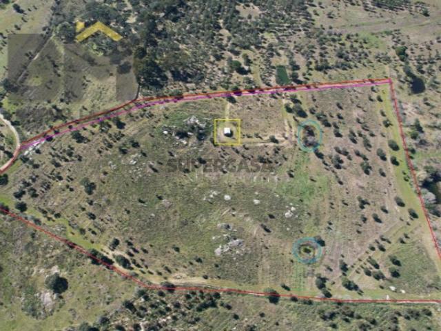 Refúgio Único em Penamacor: 7,6 Hectares de Natureza e Privacidade