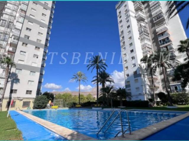 REF. 1887 Benidorm Poniente 1100€