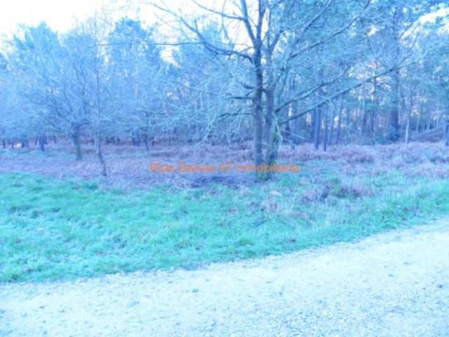REF 2302 TERRENO RUSTICO 3100 m2 ALTO SAN COSME MOS