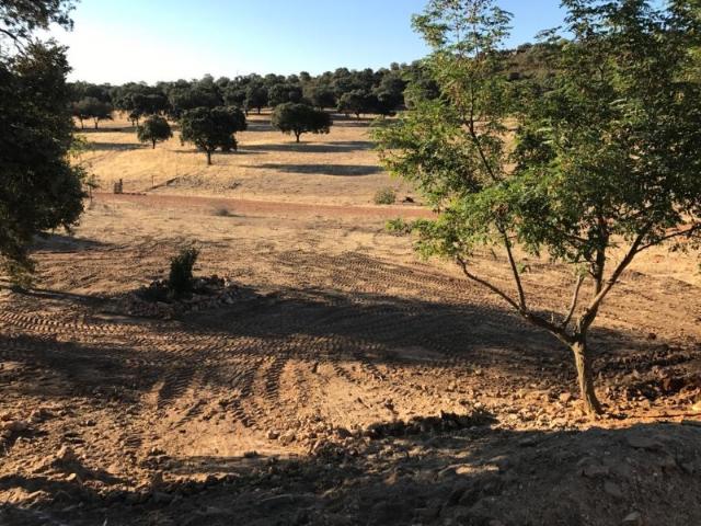 REF 25066 EXCELENTE FINCA DE CAZA BIEN COMUNICADA EN PROXIMIDAD ALMODOVAR