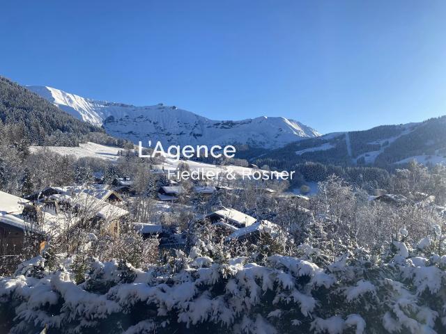 REF 406: CHALET D'EXCEPTION DOMAINE PRIVÉ MONT D'ARBOIS SKIS AUX PIEDS