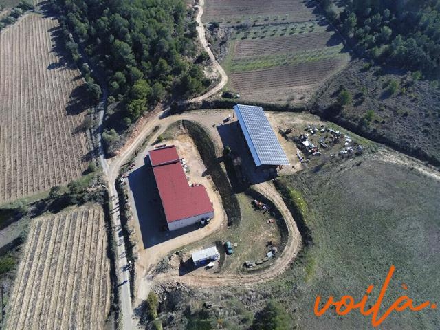 REF VIGNOBLE4 Minervois Campagne avec bâtiment de + 68. 450m² Narbonne