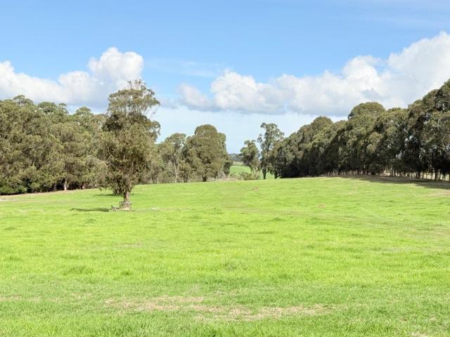 Refined Country Living 1ha Lots in Stunning Environment