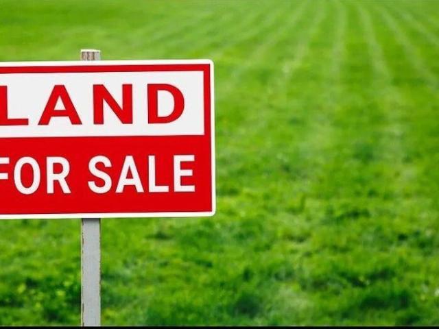 Refined Semi Rural Living! Large Lot Residential!