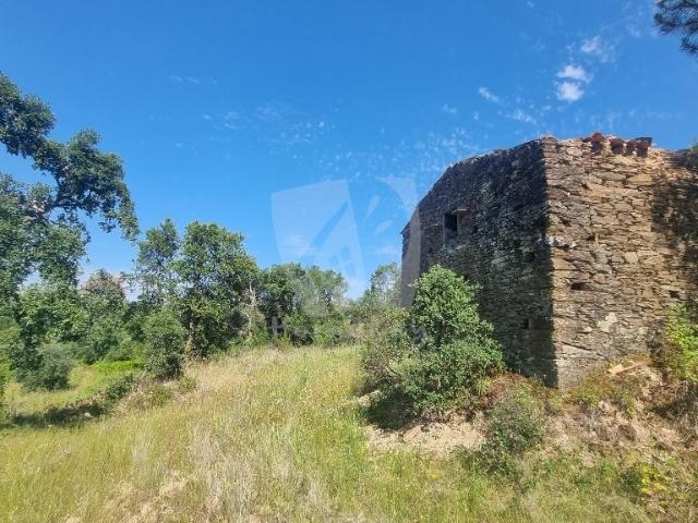 Regadia Propriedade com um total de 2,5 hectares, fazendo divisa por 150 metros com um riacho