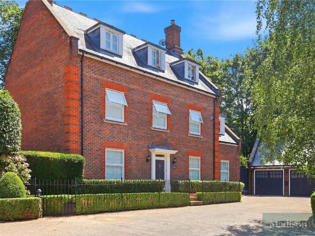 Regents Drive, Woodford Green IG8, 7 bed detached house to rent, £7,950 pcm | PrimeLocation
