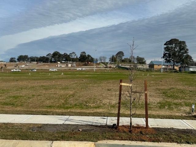 Registered Land For Sale