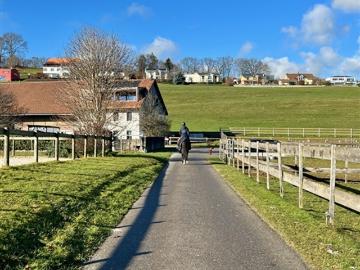 Schönberg, Freiburg, District de la Sarine, Kanton Freiburg