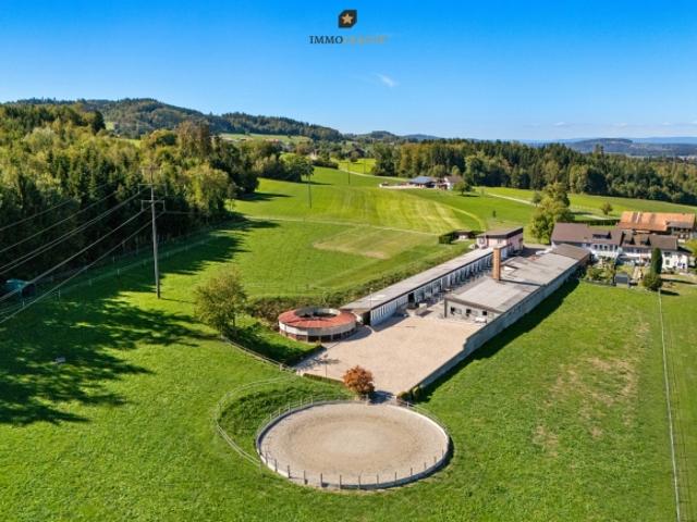 Reitsportzentrum – ein Anwesen für Pferde, Menschen und grosse Ideen