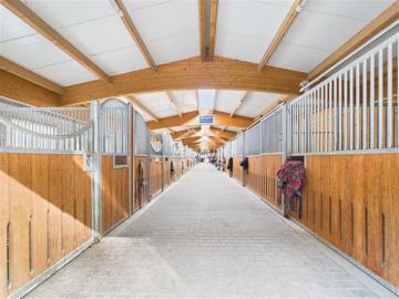 Etagenwohnung kaufen in Interlaken
