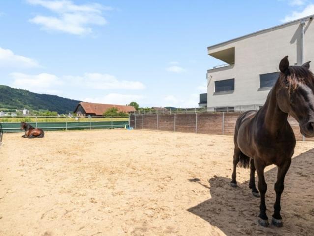 REITSPORT, WOHN UND GEWERBEIMMOBILIE MIT VIELFÄLTIGEN NUTZUNGSMÖGLICHKEITEN