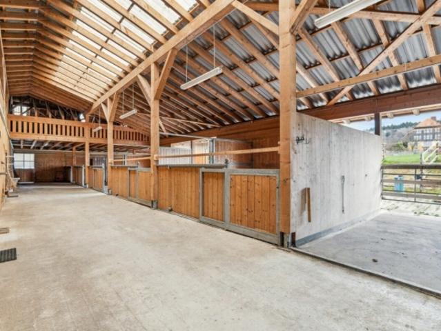 Reitsportimmobilie mit Reithalle und Wohnhaus