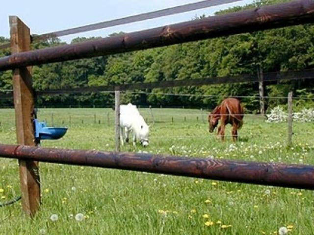 Reitsportimmobilie mit Wohnung/Einzelzimmer und Reitalle