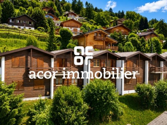 Reizendes 3½ Zimmer Reihenchalet in Haute Nendaz