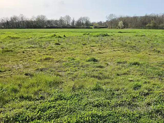 Reignac sur Indre 37310 Programme neuf maison neuf à vendre 4 pièces
