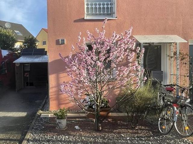 Reihen End Haus in Mutterstadt