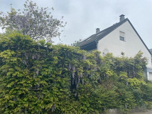 Reihenendhaus in toller Lage