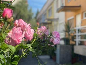 Völs, Innsbruck-Land, Tirol - Garten, Keller