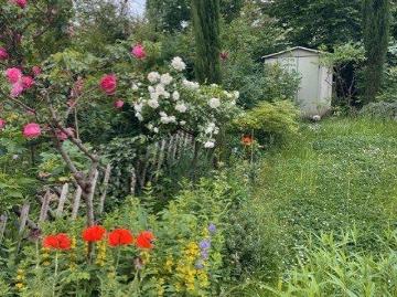 Haus zum Verkauf in Weidenpesch - Garten