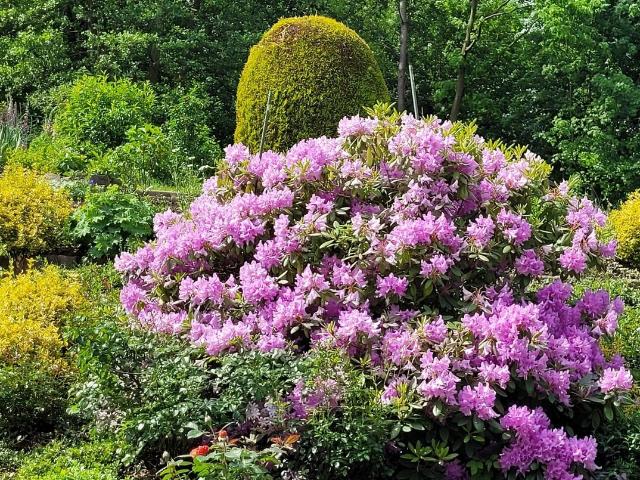 Gepflegtes Reihenhaus in Bad Gandersheim mit schönem Garten PROVISIONSFREI!
