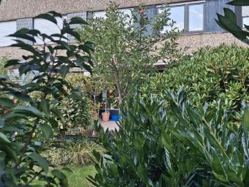 Reihenhaus in Großenbaum