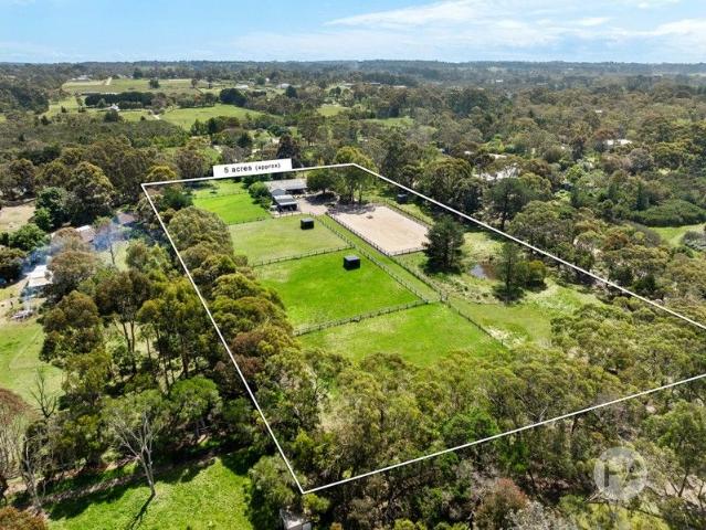 Relaxed Rural Sanctuary