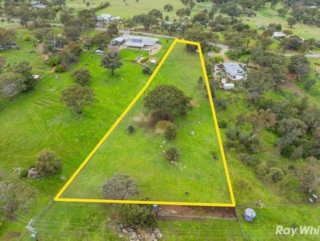 Relaxed 1.5 Acres
