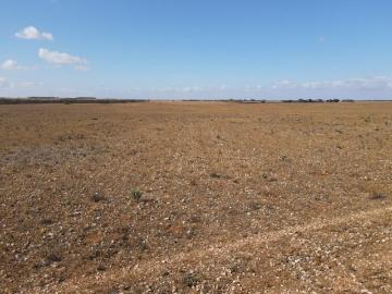 Black Hill, Mid Murray, Mid Murray, South Australia