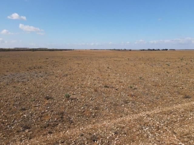 Reliable Grazing or Mixed Farming opportunity