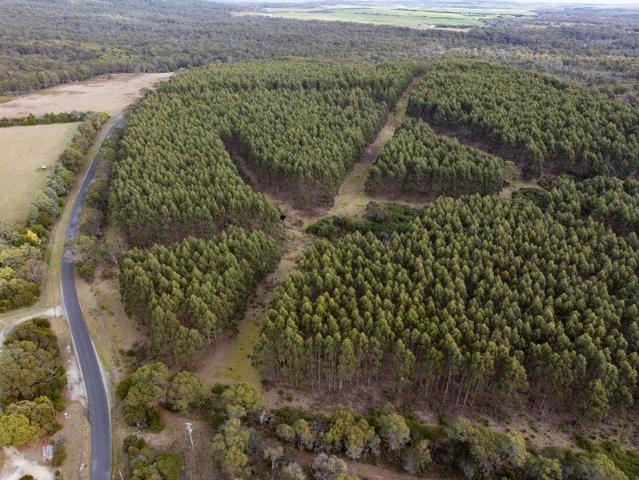 Reliable Rainfall, Free Draining Soils, Unlimited Potential