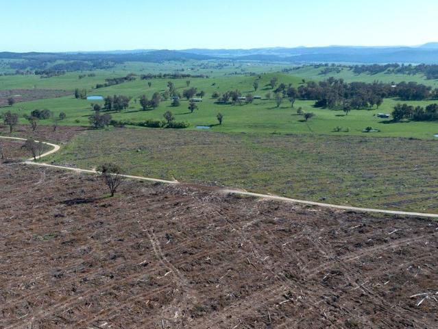 REPLANT FORESTRY OPPORTUNITY OR LAND CONVERSION