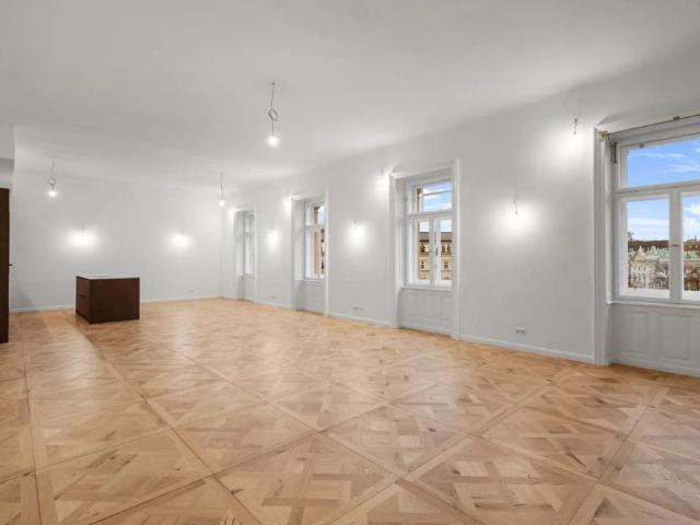 Repräsentative 3 Zimmer Altbauwohnung mit beeindruckendem Blick auf den Justizpalast