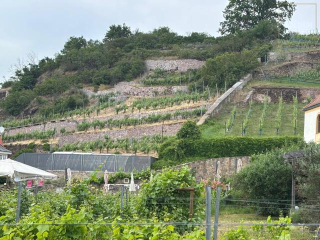 Repräsentatives Wohngebäude mit Schloss Charakter am Weinberg !