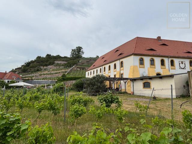 Repräsentatives Wohngebäude mit Schloss Charakter am Weinberg !