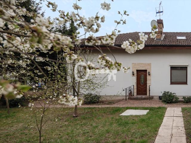 Reprezentacyjny obiekt inwestycyjny 600 m² w Junikowie polecam!