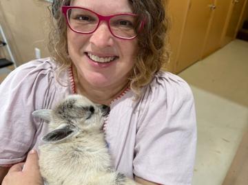 Cameron Park, Raleigh city Raleigh township Wake County North Carolina, Raleigh city, Wake County, North Carolina, USA